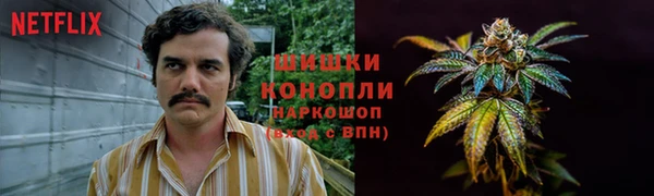 бошки Заполярный