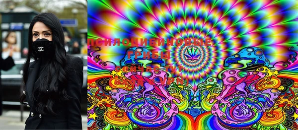 бошки Заполярный