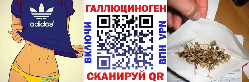 Галлюциногенные грибы Psilocybine cubensis  купить закладку  даркнет наркотические препараты  Обь 