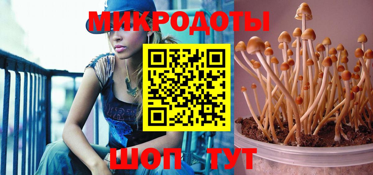 Псилоцибиновые грибы GOLDEN TEACHER  Вход с VPN  Обь 